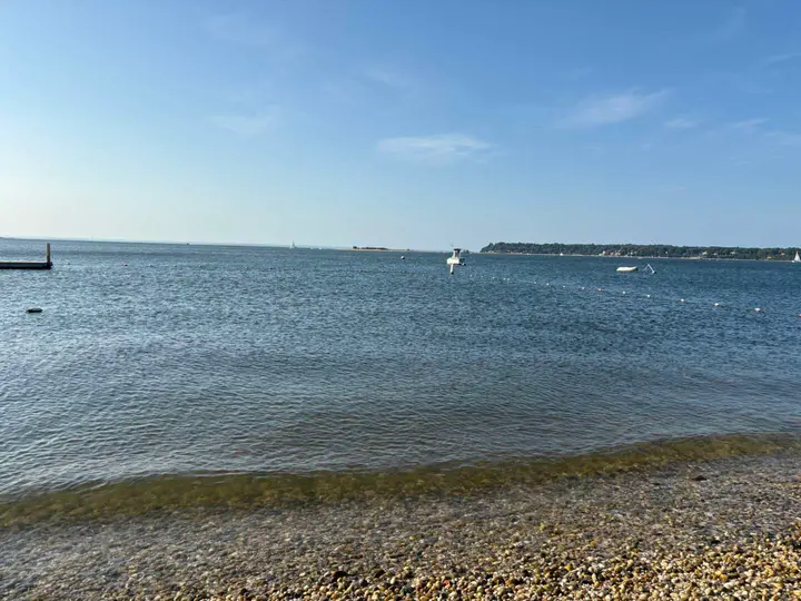 Town alerts residents to ray sightings in Huntington waters