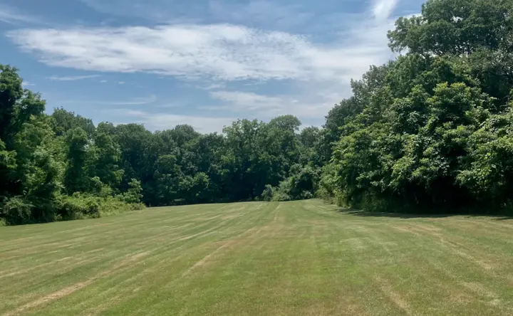Walks in the Woods: Henry Ingraham Preserve