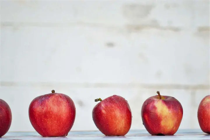 Breakfast and lunch: Free Meals for All program effective for 2025-26 school year