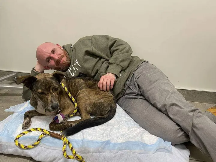 Finding Athena: Community rallies together to bring missing dog home