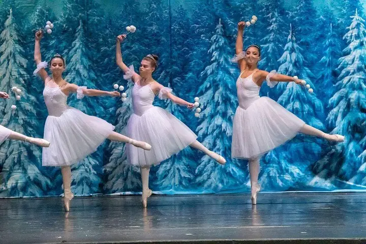Posey School parents launch “Community Sponsor Campaign” for Nutcracker Journal