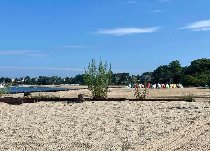 Asharoken among four town beaches closed for swimming due to lifeguard shortage