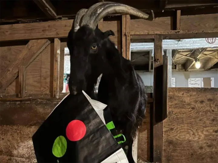 Support Lewis Oliver Farm with reusable bag purchase this month