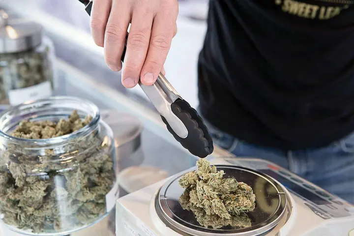 Northport residents share thoughts on adult-use cannabis