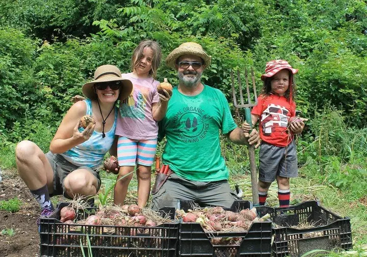 Tips from a local: Starting your own vegetable garden