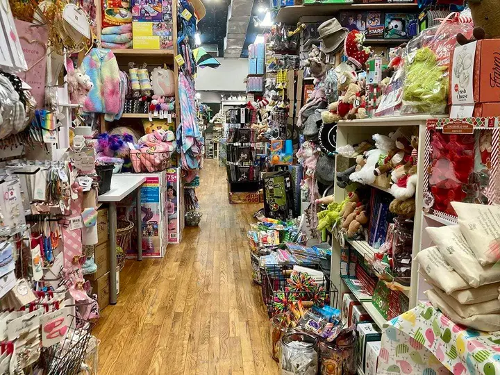 Small business spotlight: Einstein’s Attic
