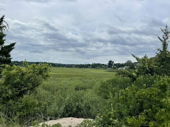 Ten years in the making: TOH addresses best practices for protecting and restoring Crab Meadow Watershed