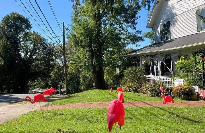 Local lawns flocked with flamingos for high school fundraiser