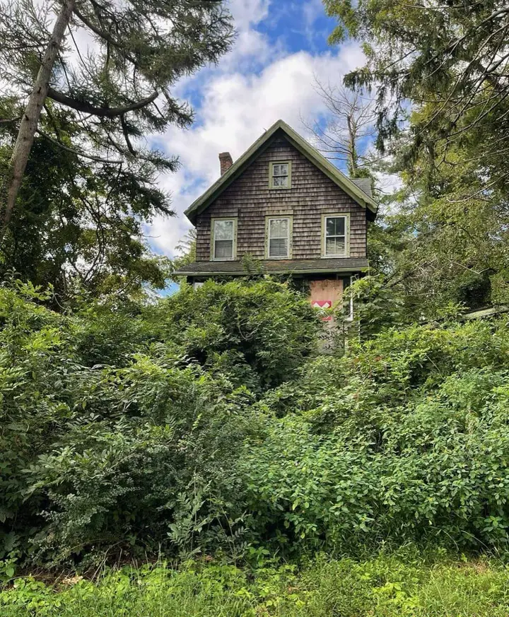 Historic Village home neglected, harboring rodents and overgrown vegetation