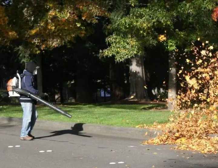 Slow progress on gas leaf blower laws: Town of Huntington and Northport Village behind neighboring municipalities
