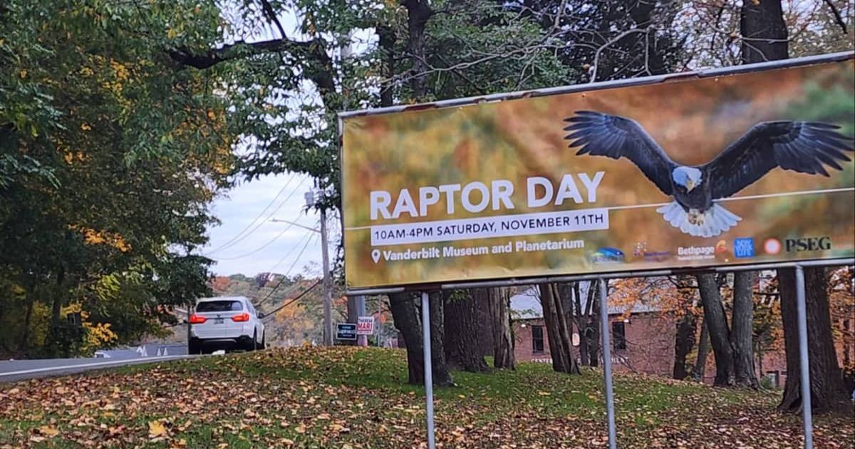 Days Without Mistakes Raptor Raptor Day: A fun-filled day for families and environmental enthusiasts ...